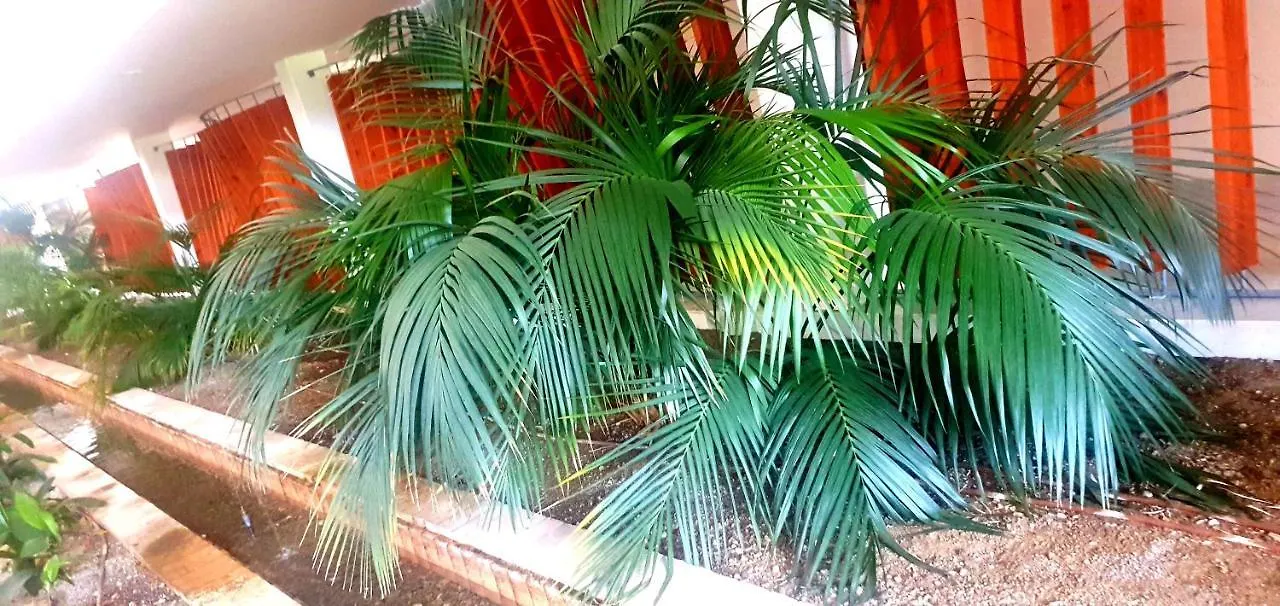 Chill Out Apartment Estepona